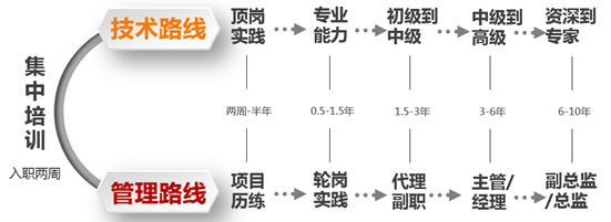 成长路径.png